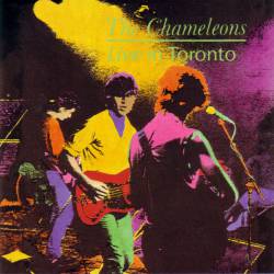 The Chameleons : Live in Toronto